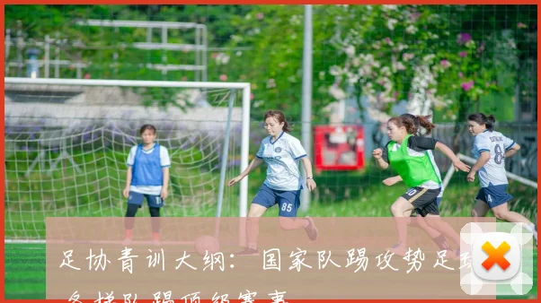 足协青训大纲：国家队踢攻势足球 各梯队踢顶级赛事