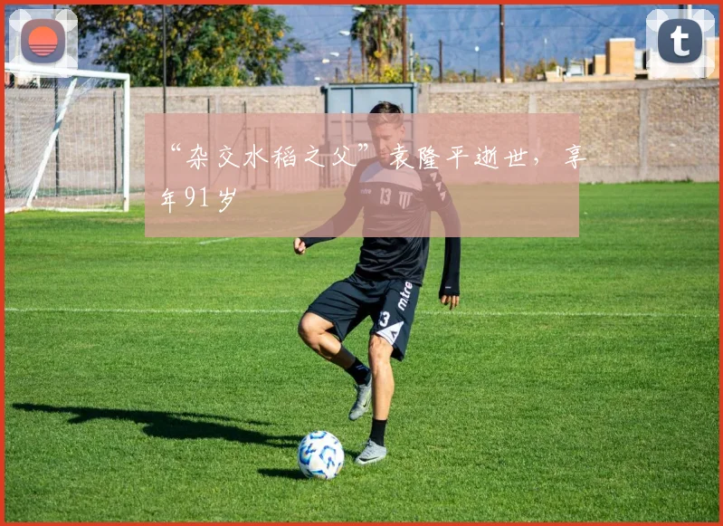 “杂交水稻之父”袁隆平逝世，享年91岁