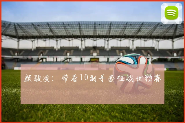 颜骏凌：带着10副手套征战世预赛