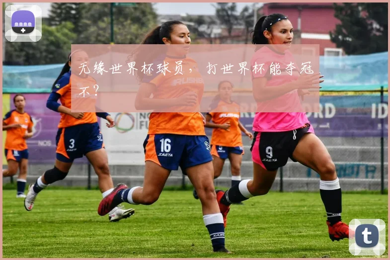 无缘世界杯球员，打世界杯能夺冠不？
