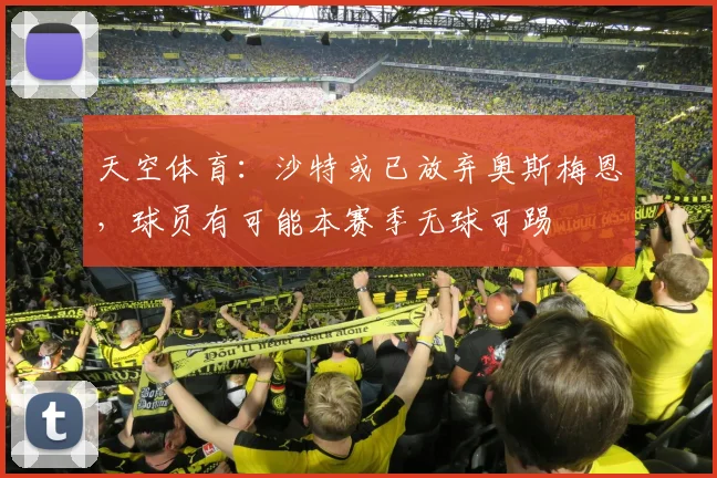 天空体育：沙特或已放弃奥斯梅恩，球员有可能本赛季无球可踢
